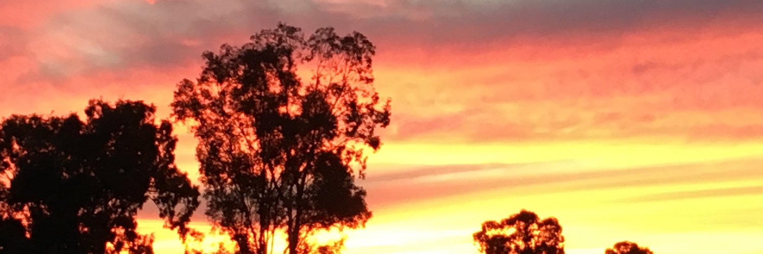 jimwarrah's profile banner image