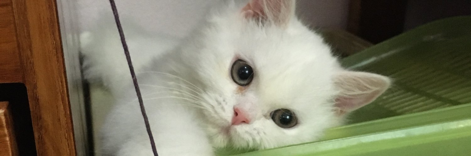 juvonmeen's profile banner image