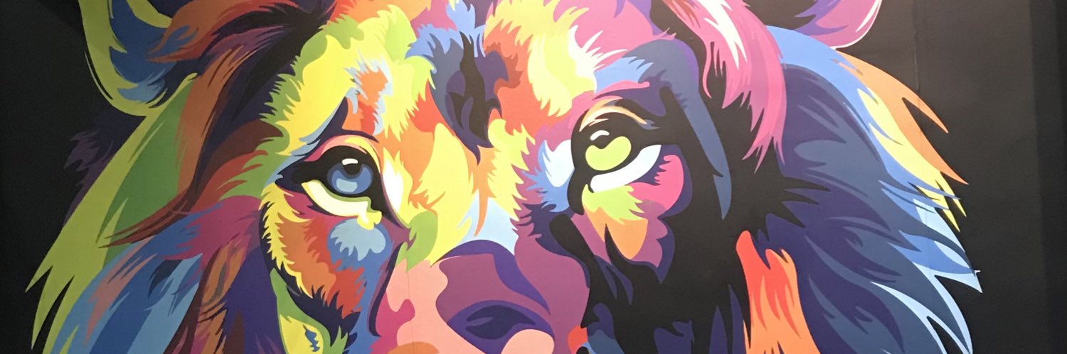 sritavc's profile banner image
