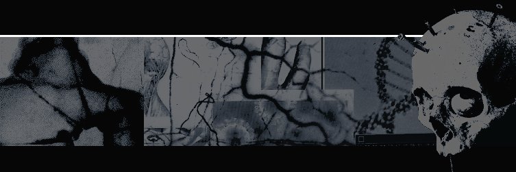 agent___kennedy's profile banner image