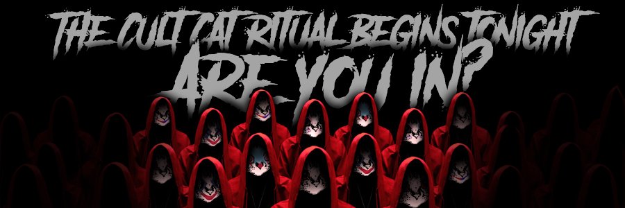 CATS CULT banner
