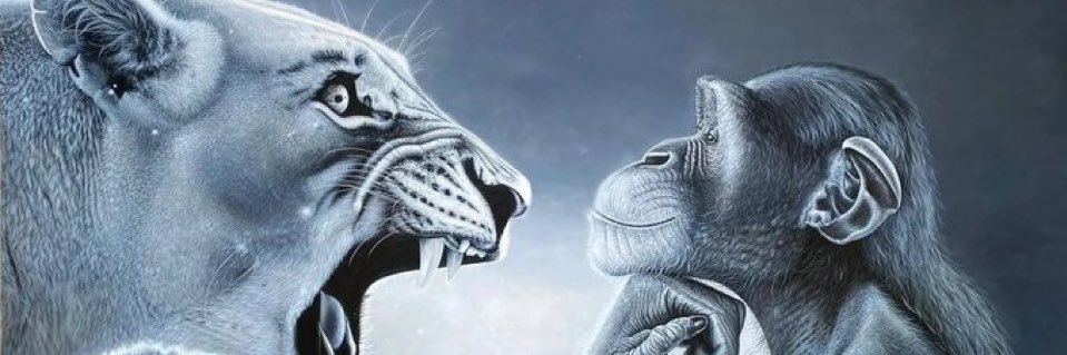 Strawberry Ice banner