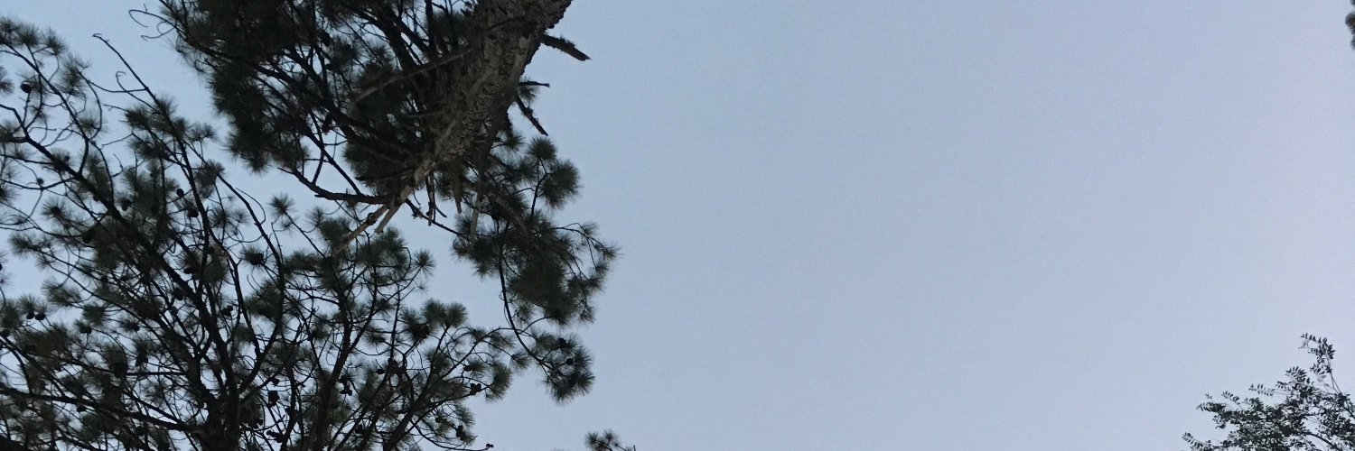CamiGreen4's profile banner image