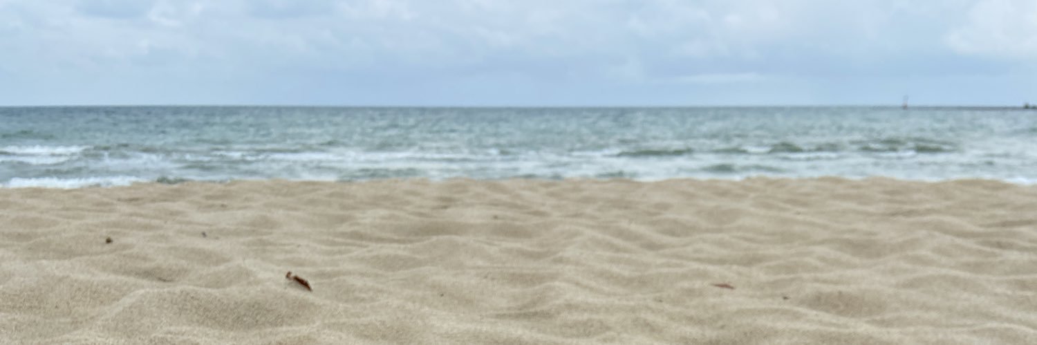 mangotropioca's profile banner image