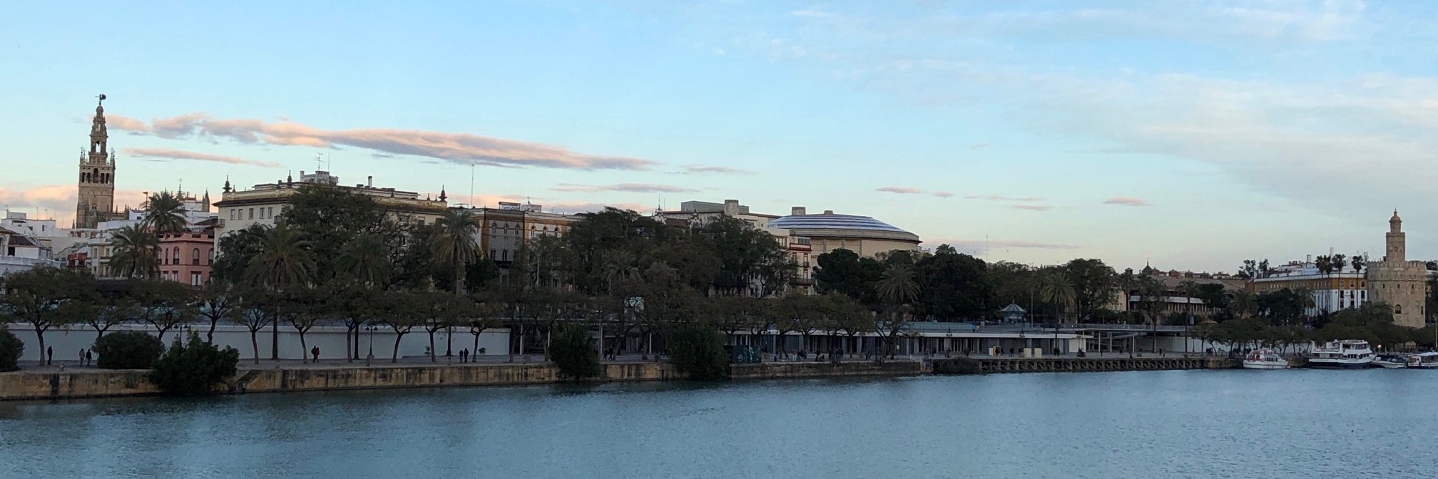 Meriwynn Mansori banner