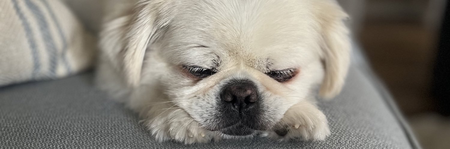 _emilyb5's profile banner image