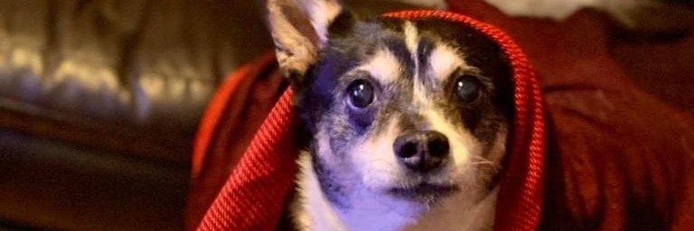 Aaron Brazell banner