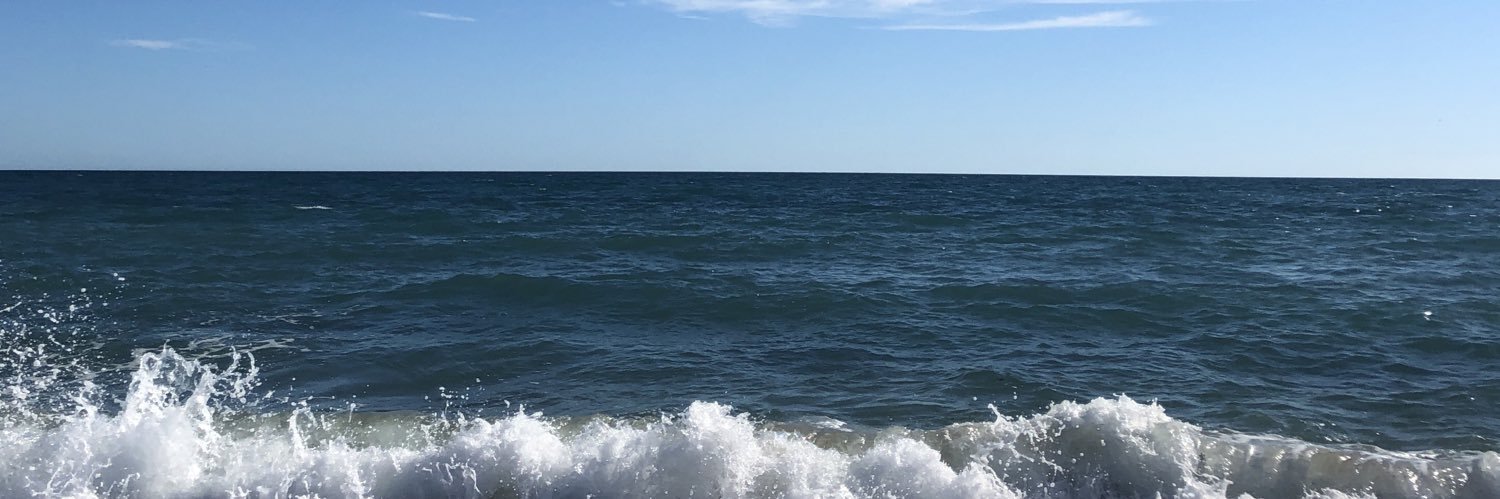 choquini4's profile banner image