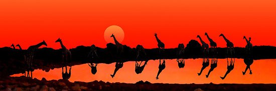 Rafffing🦒 banner
