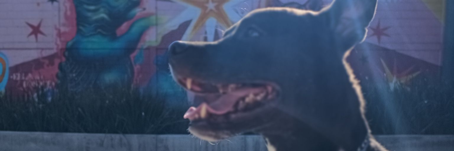 bray_sr's profile banner image