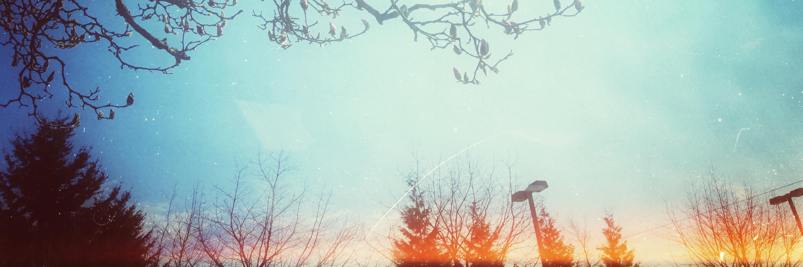seagrove's profile banner image