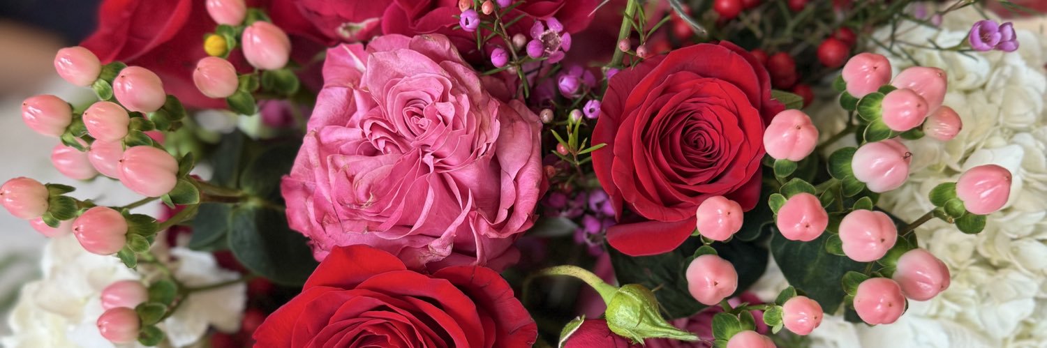 Jennifer Crawford banner