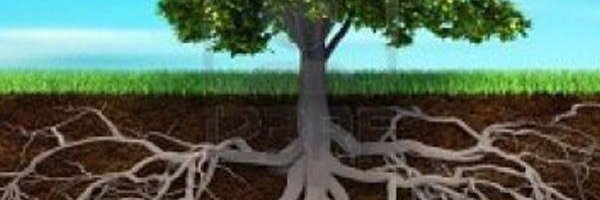 desty_qafisha's profile banner image