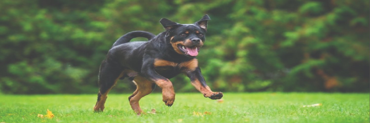 Rottweiler Lovers Club's banner