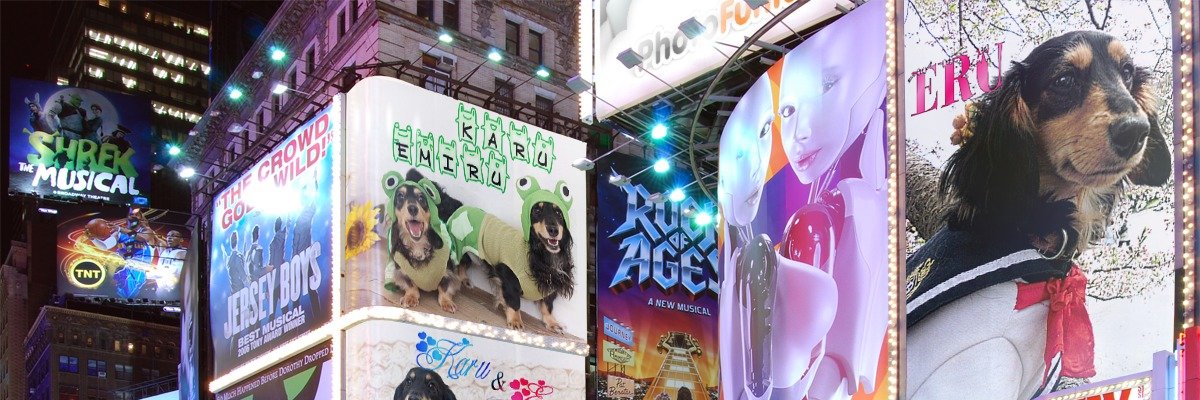 KITTY banner