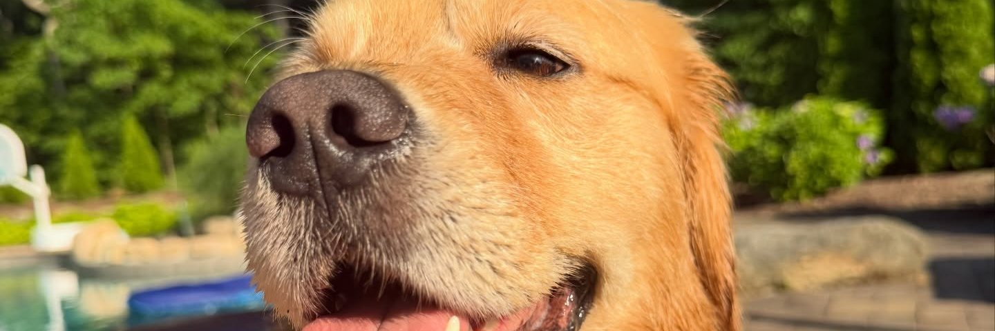TuckerHardwick's profile banner image