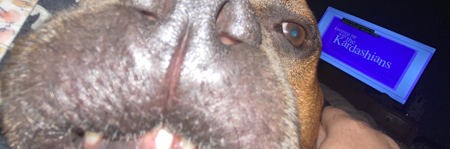 permerler's profile banner image