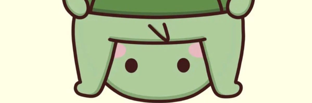 turtle banner