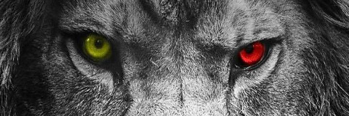idrisTurkmen's profile banner image