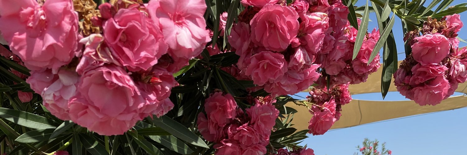aIzaa_27's profile banner image