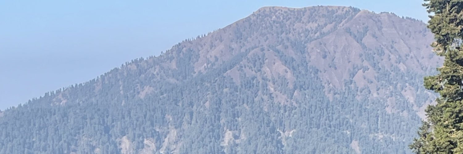 rmansoo's profile banner image