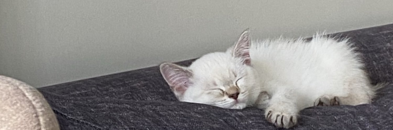 eylül banner