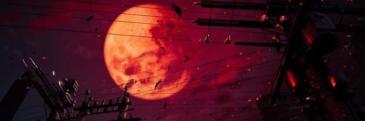 marica ✨️ banner