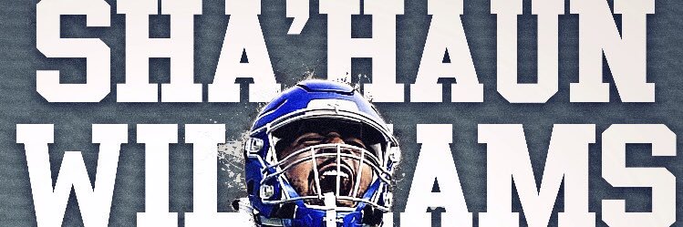 Haun banner