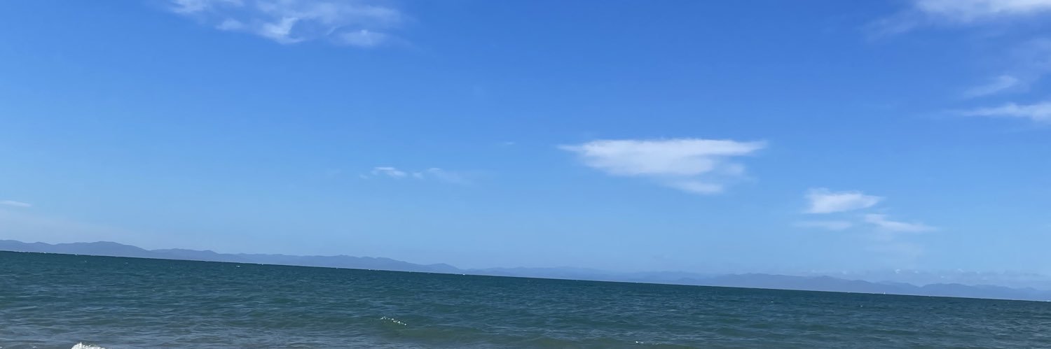 iwai/ggpl nagoya ,nagoya guild banner