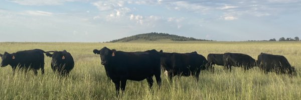 CharlesEHolt3 Profile Banner