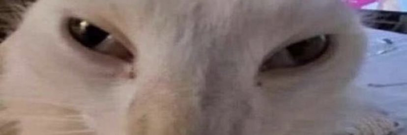 ThatOneGayAZ's profile banner image