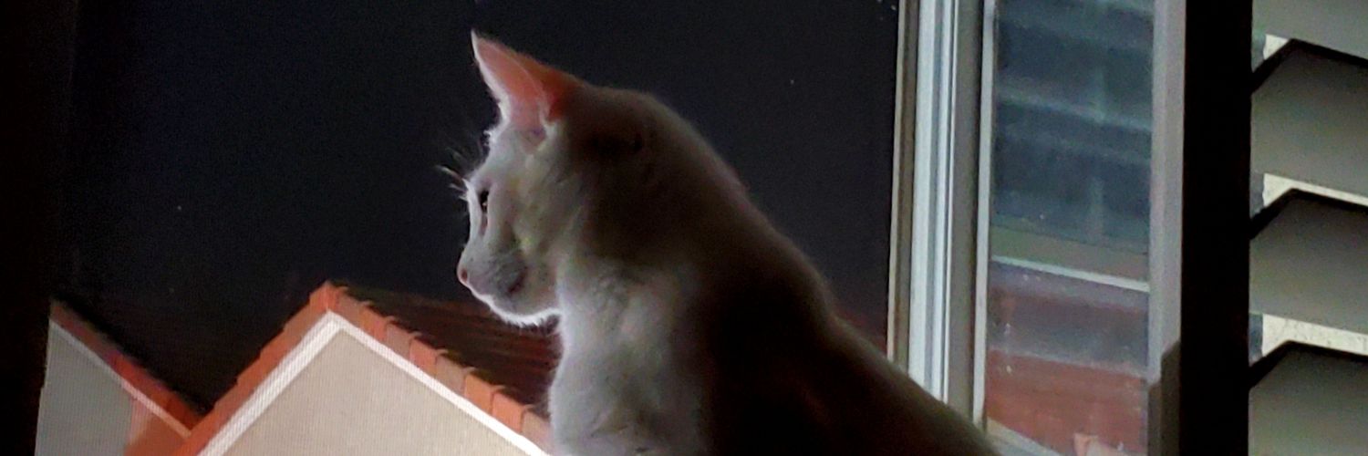 KatinkaKat's profile banner image