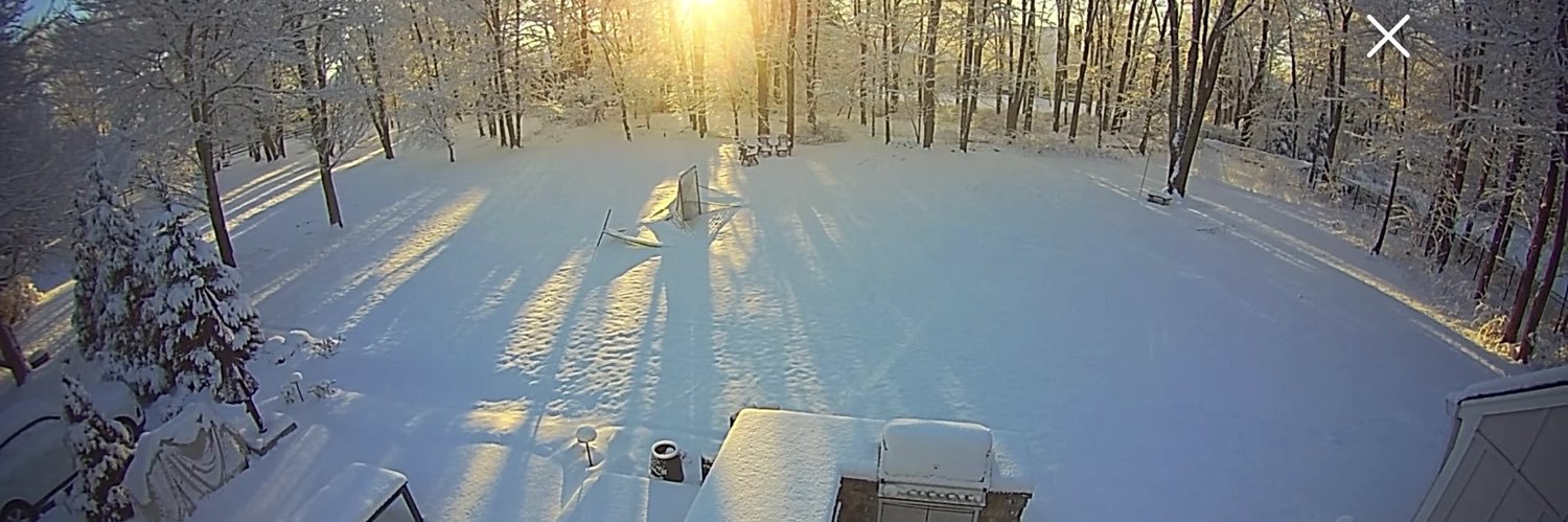 dan rossomondo banner