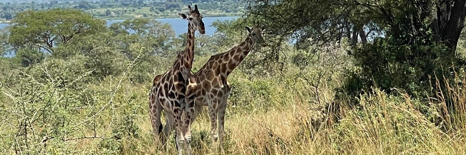 RT_Baguma's profile banner image