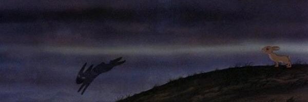 ptchat Profile Banner