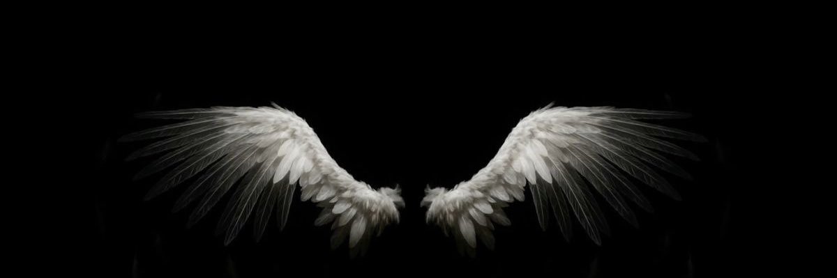 🐈‍⬛ banner