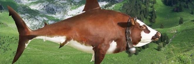 Felix banner