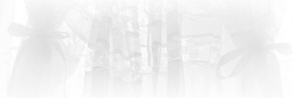 _vivical Profile Banner