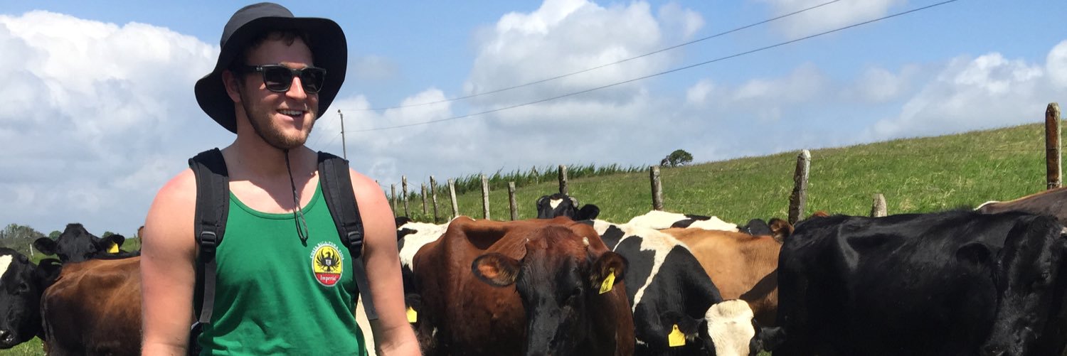 ChanceMarcotte's profile banner image