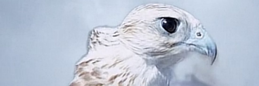 N.Alrashidi banner