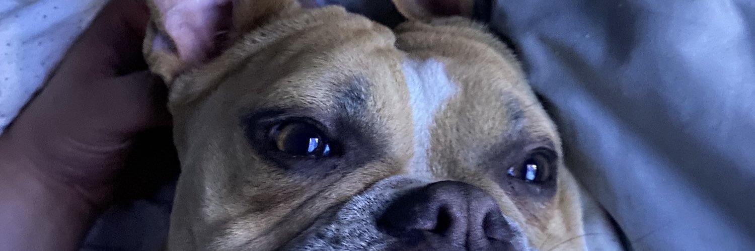 DMachoNachoo's profile banner image