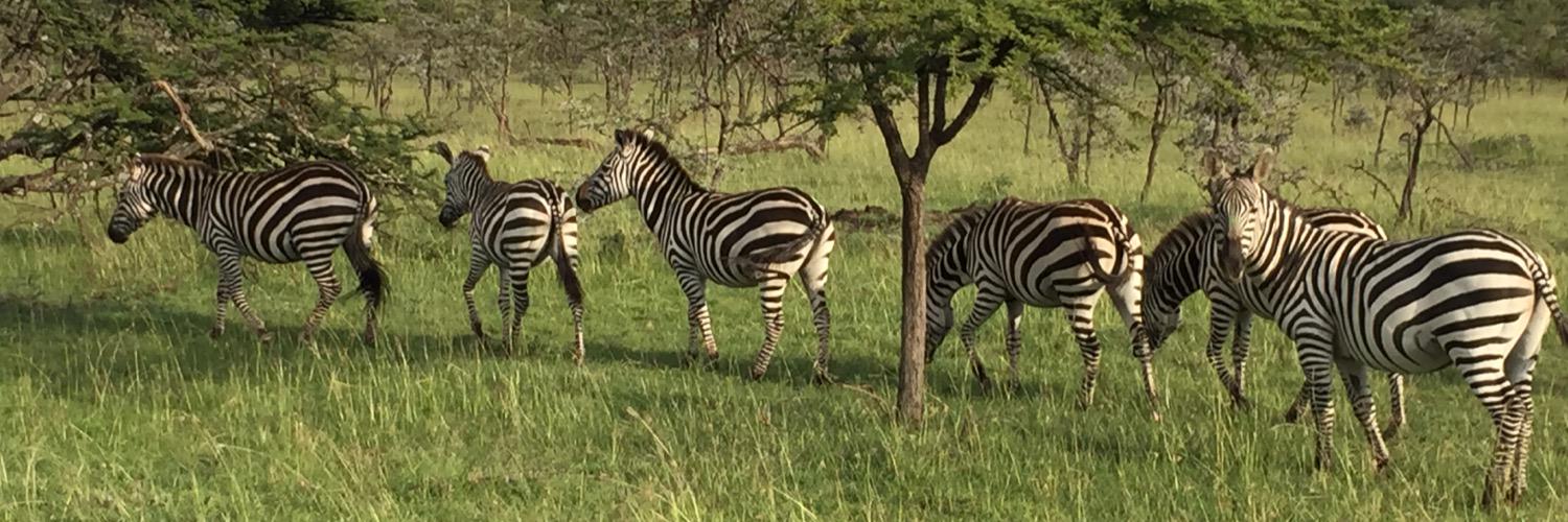 Jessica Jetton banner