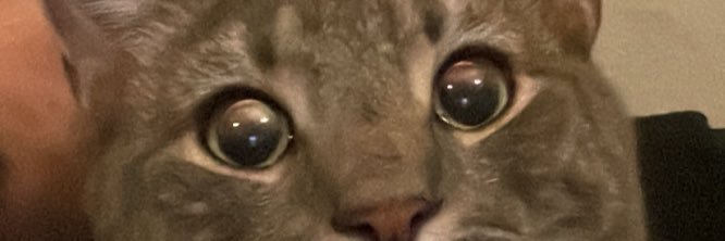 juanpeesandi's profile banner image