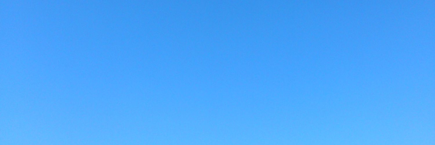 raidennleader's profile banner image
