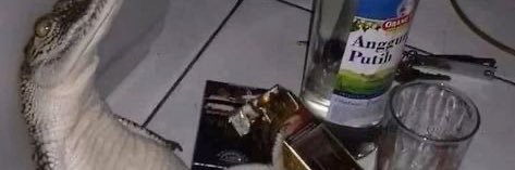 Badrano71 banner