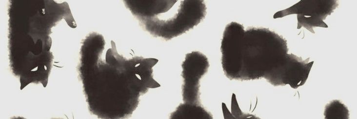 dior's banner