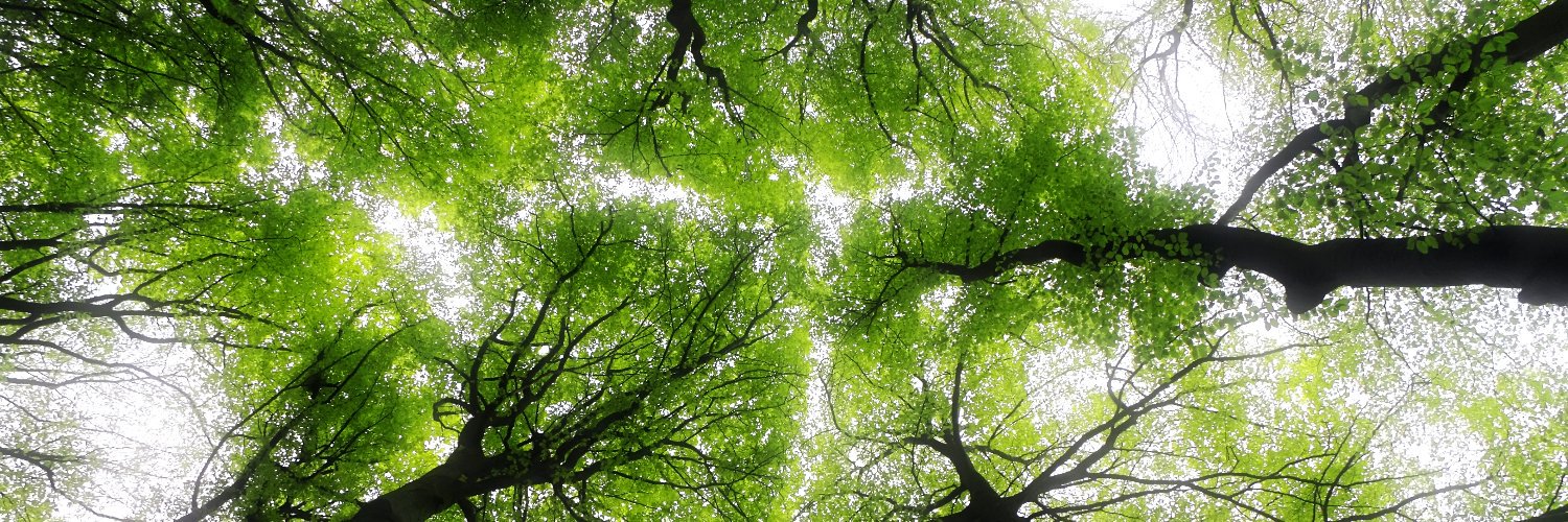 greenfuture's profile banner image
