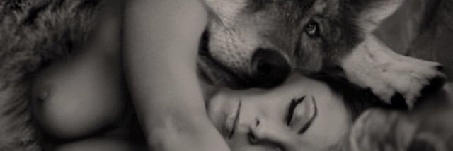 SeductiveSahara's profile banner image