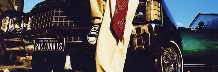 gatinho comunista☀️ banner