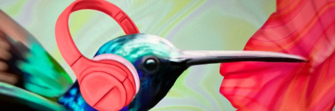 Daniel Ray Rodriguez banner